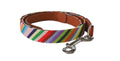 Groovy Needlepoint Leash